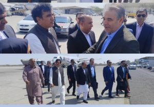 معاون وزیر میراث‌فرهنگی وارد کنارک شد