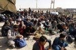۲۳۹ نفر اتباع بیگانه غیر مجاز در چابهار جمع آوری شدند