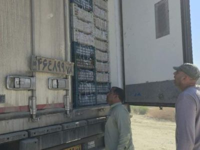 نظارت جدی بر صادرات محصولات کشاورزی پیشین