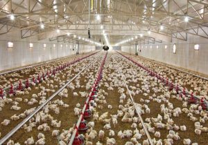 احیای ظرفیتهای مغفولمانده، نسخهای برای تقویت اقتصاد محلی