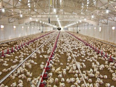 احیای ظرفیت‌های مغفول‌مانده، نسخه‌ای برای تقویت اقتصاد محلی