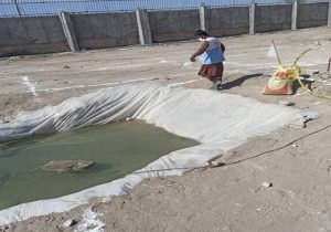 تداوم پایش حشرات ناقل در سیب‌وسوران