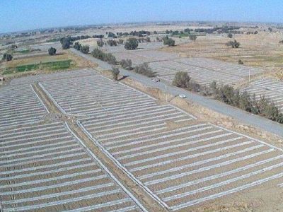 افزایش سطح زیر کشت جالیز در زهک