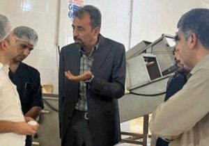 حمایت از تولید؛ محور بازدید صمت در کنارک