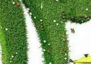 سیزدهبهدر سبز با کاهش زباله و مهار آتش