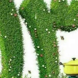 سیزدهبهدر سبز با کاهش زباله و مهار آتش