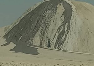جلوهای شگفتانگیز از طبیعت زنده مکران