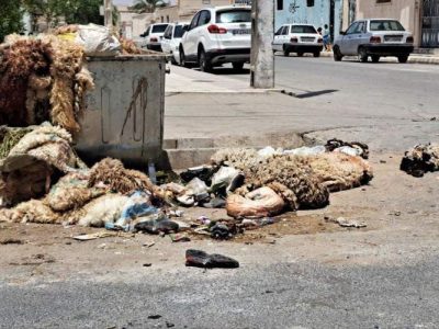جمعآوری ۳۰ هزار پوست دام در عید قربان