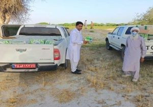 سمپاشی مبارزه با ملخ مراکشی در کنارک