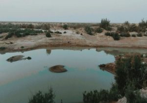 لورگ باغ»، نگینی پنهان در دل طبیعت سیستان