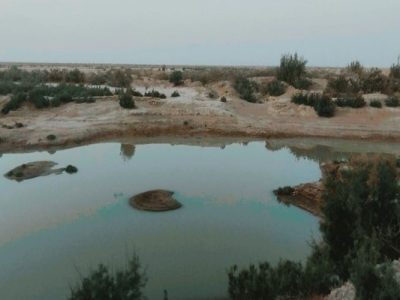 لورگ باغ»، نگینی پنهان در دل طبیعت سیستان