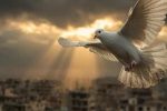 پایان جنگ، آغاز آزمونی بزرگ‌تر