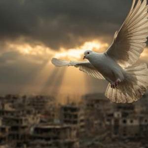 پایان جنگ، آغاز آزمونی بزرگتر