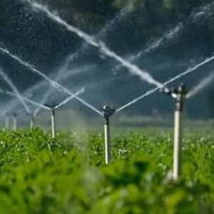 آبیاری نوین، موتور تحول کشاورزی ایرانشهر