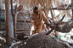 راهاندازی مزرعه پرورش کرم ورمیکمپوست در دلگان