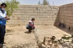 ۲۰ هزار طیور هیرمند علیه نیوکاسل واکسینه شدند