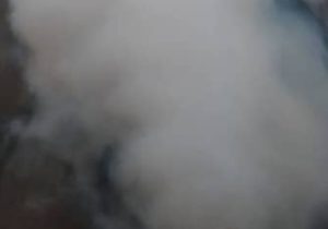 تداوم مه‌پاشی روزانه برای کنترل پشه آئدس