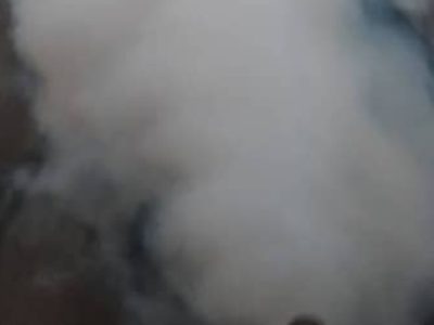 تداوم مه‌پاشی روزانه برای کنترل پشه آئدس