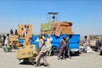 کولبری قانونی، نبض تازه اقتصاد مرزنشینان