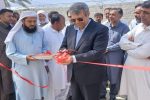 افتتاح ۶ واحد مرغداری گوشتی در سراوان
