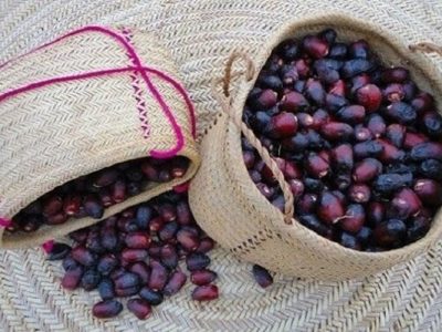 خرمای سراوان، محصولی برای فتح بازارهای صادراتی